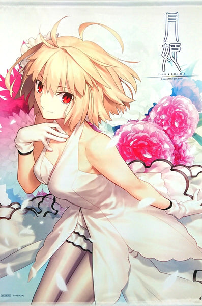 [Tsukihime A piece of blue glass moon] Animate Bonus [B2] [Tapestry] (48)