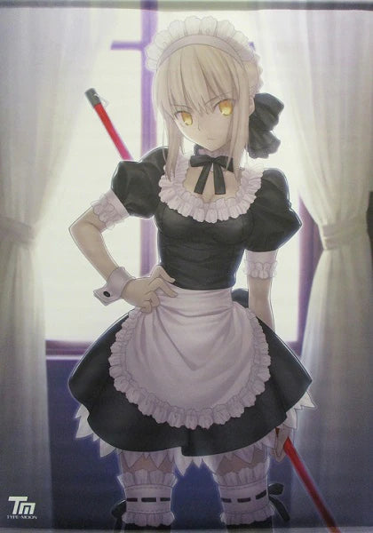 [Fate/Stay Night] Altria Saber Alter-  Comic Market C81 [B2] [Tapestry] (28)